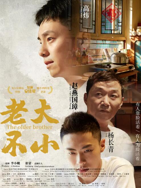 老大不小封面图