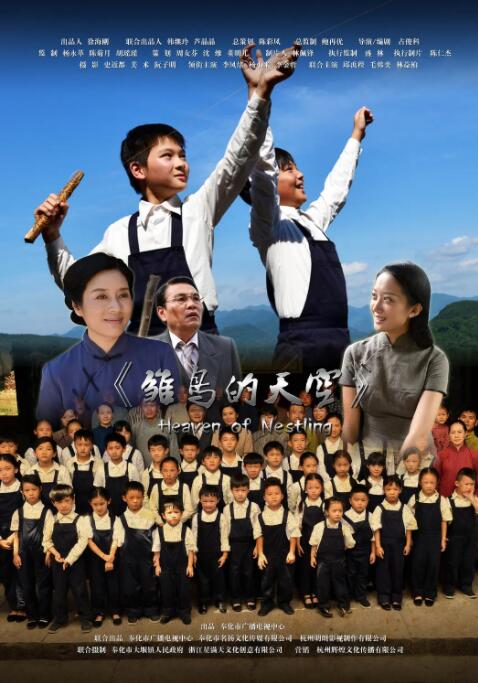 雏鸟的天空封面图