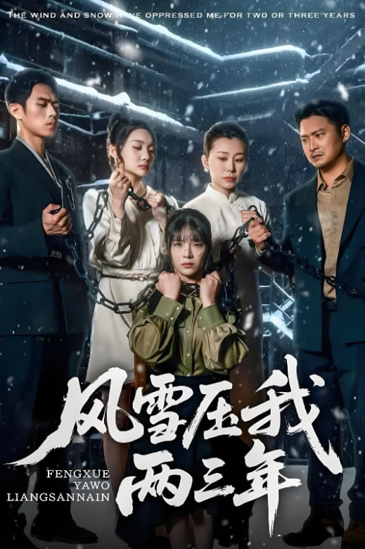 风雪压我两三年封面图